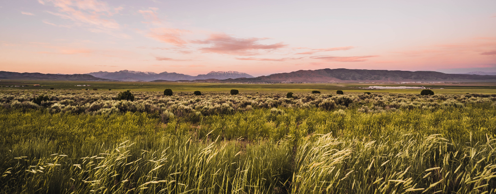 Coloradoplainswithmountainsinthebackgroundbysoran-ali1020x400.png